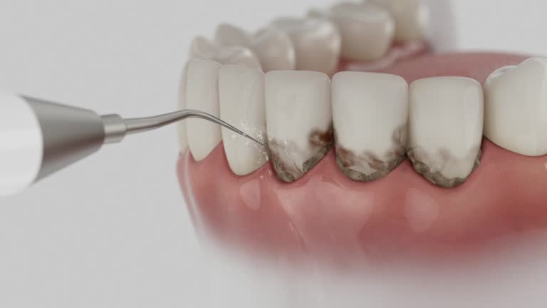 Reliable Dental contractor in Shoreline, WA by Dentist Open Now